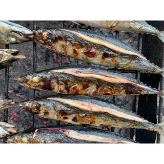 CÁ NỤC NƯỚNG THAN. 1KG
