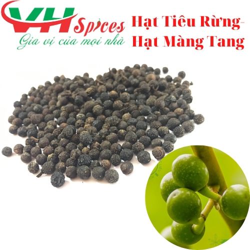 Hạt Màng Tang_Tiêu Rừng