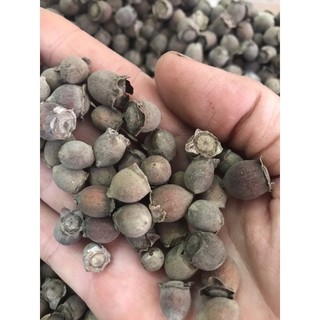 SIM KHÔ TÂY BẮC 1 KG
