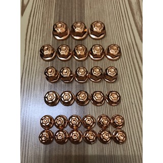 Bộ chụp ốc xe máy - 1 bộ 30 con
