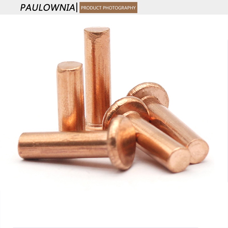 Đinh Tán Đầu Dẹt Bằng Đồng Thau m1.5 m2 m2.5 m3 Dài 3mm - 30mm Chuyên Dụng