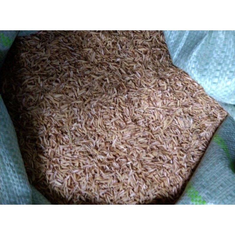 5 Ký Trấu Trồng Cây