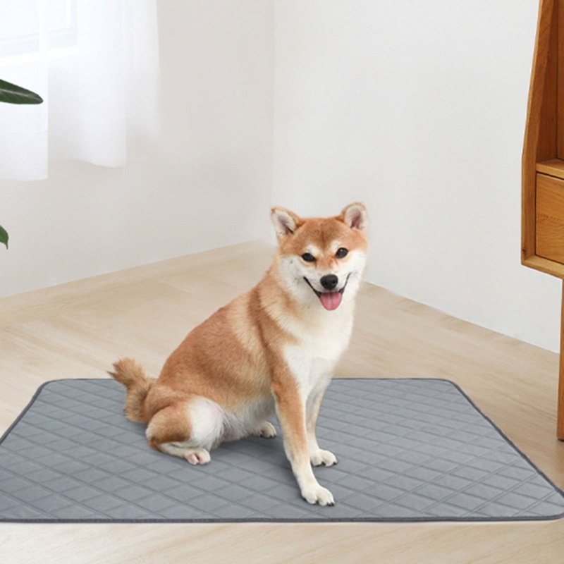 Vỏ Bọc Ghế Ngồi Xe Hơi Chống Thấm Nước Thoáng Khí Tiện Dụng Cho Thú Cưng