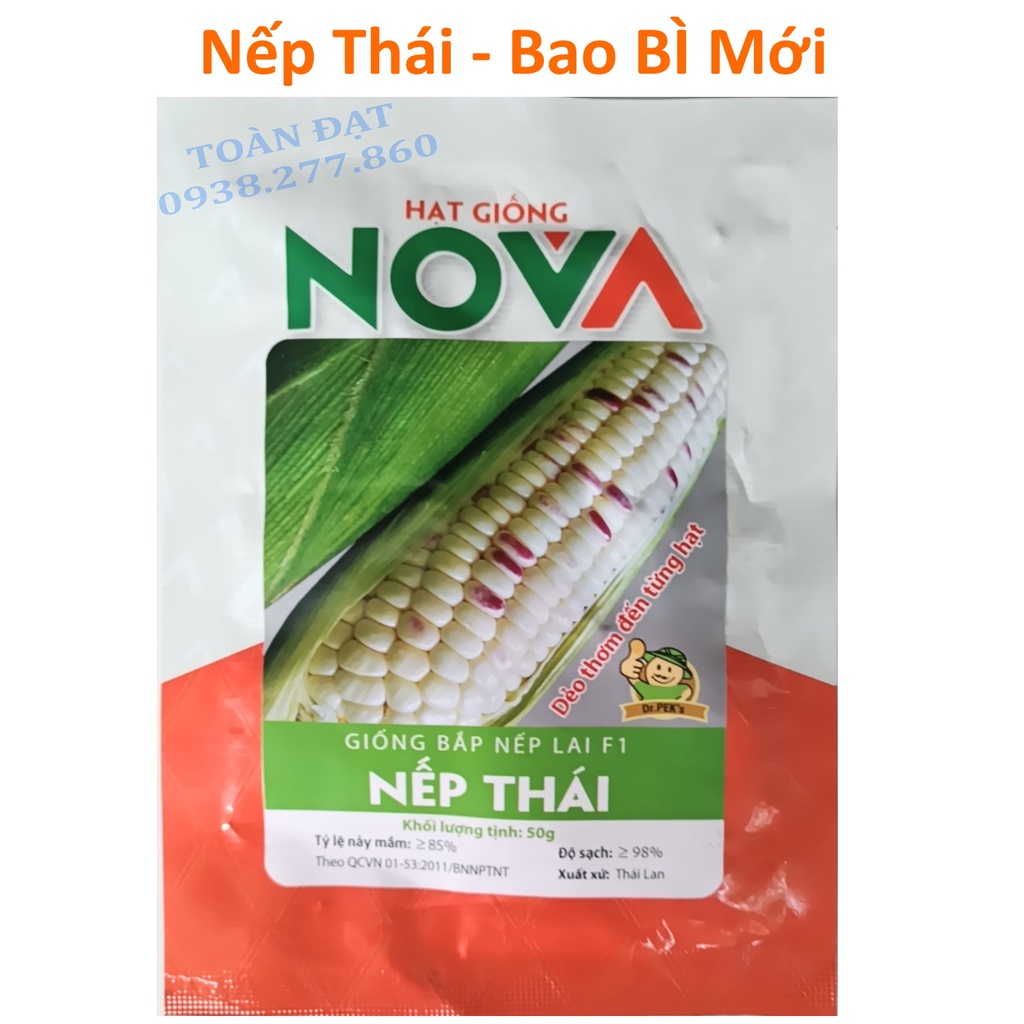Hạt Giống Bắp Tím Dẻo 926 hai mũi tên đỏ 100gr, giống bắp nếp thái tím