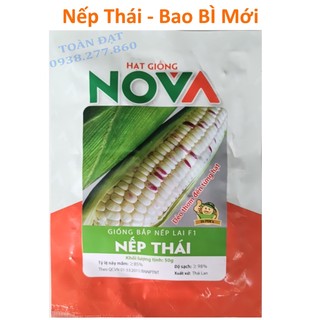 Hạt Giống Bắp Nếp Lai Tím Dẻo 100gr, giống bắp nếp thái tím (50g)