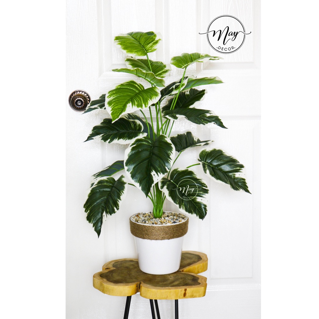 Cây giả, Chậu cây môn giả trang trí 80cm kèm chậu