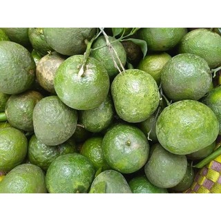 Cam Sành Vĩnh Long Mọng Nước, Vỏ Mỏng - Ship Hỏa Tốc
