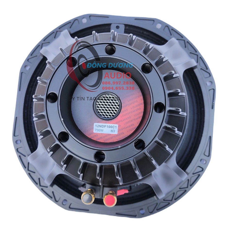 LOA BASS 30 NEO HIWELL 2 TẦNG CÔN 100 DÂY DẸT XƯƠNG NHÔM- GIÁ HAI LOA