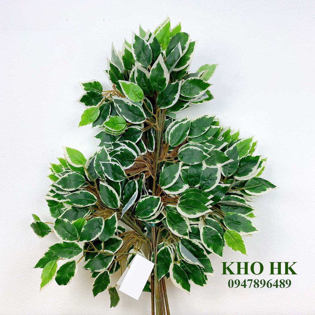 [12 cành] Cành Lá Si xanh giả, Làm Cây Giả lá xi sanh viền trắng trang trí Cực Đẹp