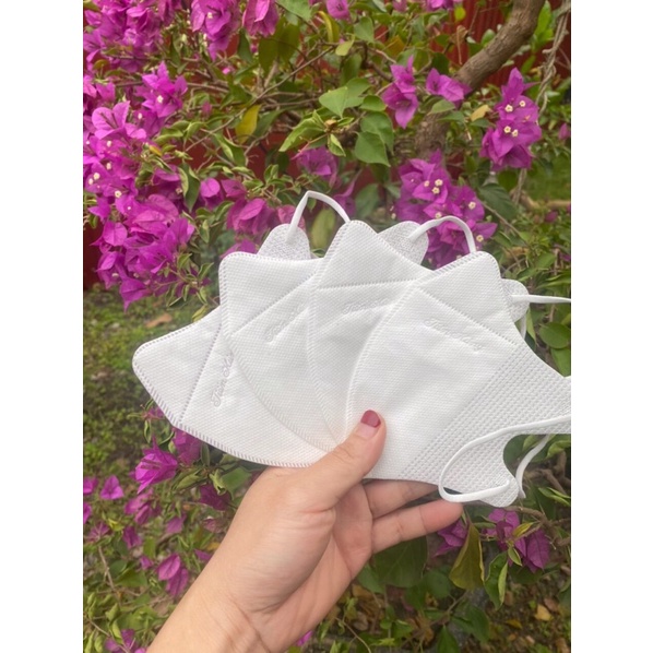 Thùng 100 cái khẩu trang 5D
