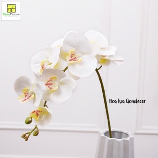 Hoa lan cao su lan hồ điệp giả hoa lụa cao cấp