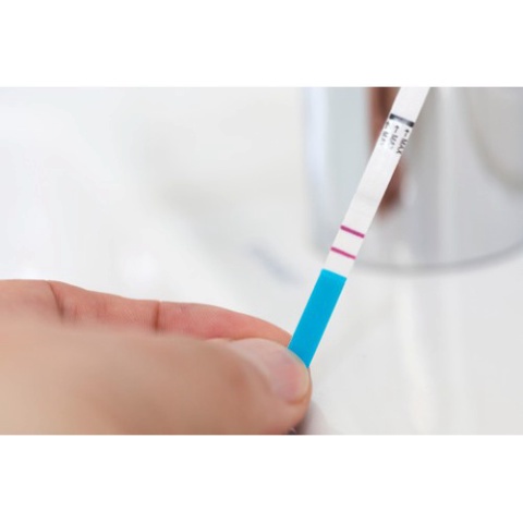 Que thử thai Chip Chips  -Chính Hãng