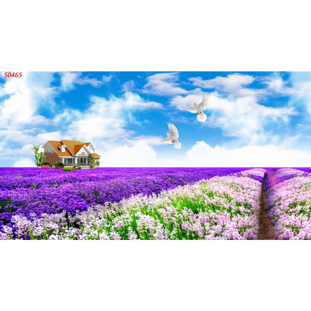Tranh dán tường 3D hoa Lavender