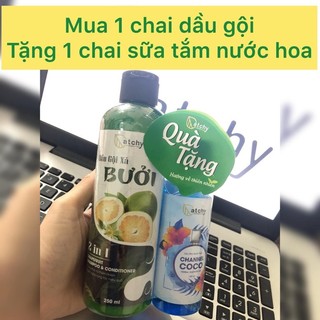 Dầu Gội Xả Bưởi Catchy 250ml tặng kèm sữa tắm nước hoa