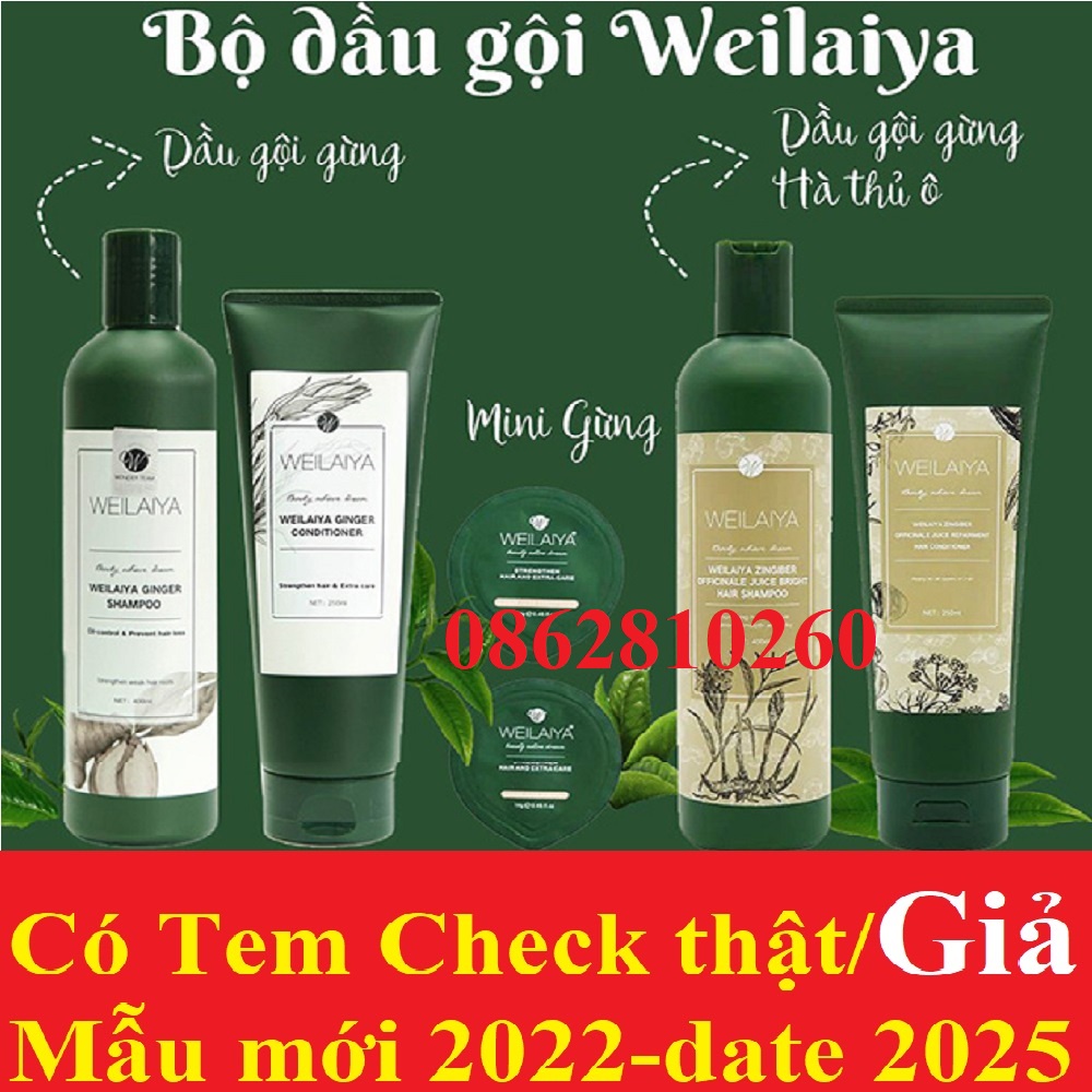 Bộ dầu gội xả đầu gừng trắng và hà thủ ô Weilaiya ngăn rụng tóc & kích mọc tóc dành cho da dầu + khô [chính hãng]