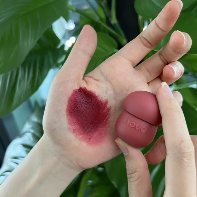 Son kem Novo siêu mịn nắp hình nấm xinh xắn lên màu cực chuẩn ảnh thật shop tự chụp