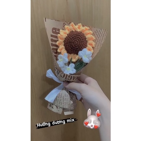 Hoa hướng dương mix