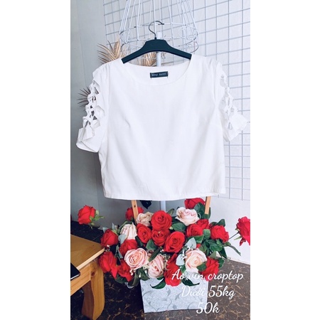 Áo vin dáng croptop