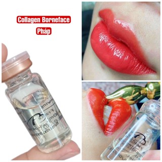  Tinh chất collagen tươi Borneface Pháp dưỡng môi sau phun xăm kích màu sắc nét tự nhiên siêu căng bóng lọ 10ml 