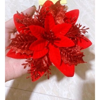 Hoa trạng nguyên