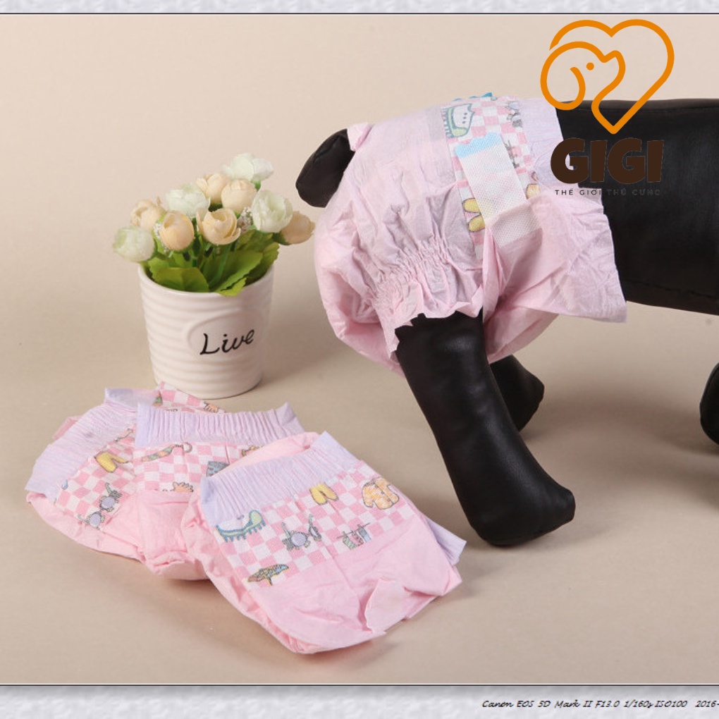 Bỉm Dono cho chó mèo đực và cái nhiều size co giãn mềm mại siêu nhẹ thấm hút cao phụ kiện thú cưng - GiGi Pet Shop