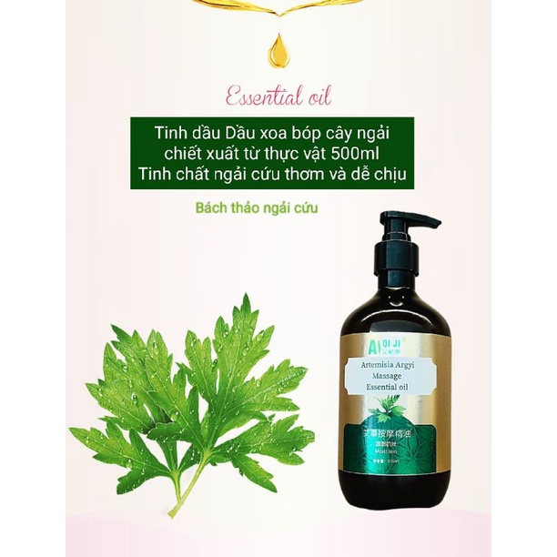Tinh dầu massage body Ngải cứu 500ml.Dầu massage Bách Thảo Ngải cứu đả thông kinh lạc