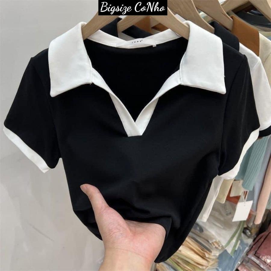 Áo thun tay ngắn bigsize nữ cổ bẻ BIGSIZE CÔ NHỎ, Áo phông polo over size Chuppy 58-95kg A41