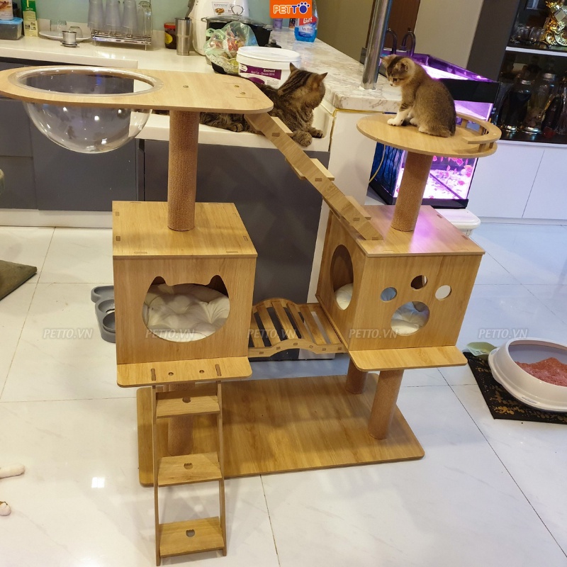 Nhà cây cho mèo PETTO bằng gỗ KÈM LỒNG KÍNH xinh xắn tháo lắp dễ dàng BẢO HÀNH 1 NĂM dành cho 1- 3 bé mèo CH013_G