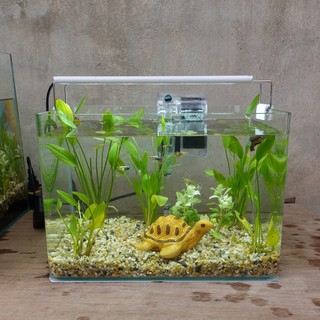 Bể cá mini 30 cm và 7 món (bể, 2kg sỏi nền, máy lọc, 1kg phân nền, 2 cây thủy sinh, pk sứ nhỏ)