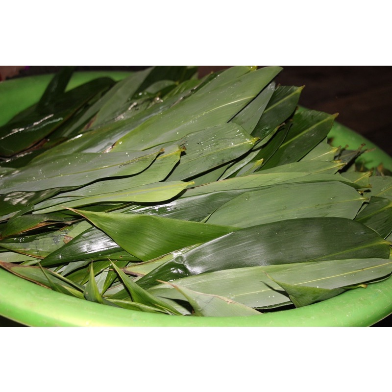 30 lá tre tươi loại to gói bánh ú, bánh tro, bánh gio