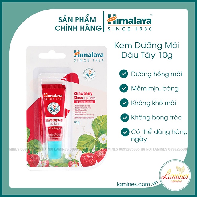Son Dưỡng Môi Himalaya Herbals Hương Dâu 4.5g - Strawberry Shine Lip Care
