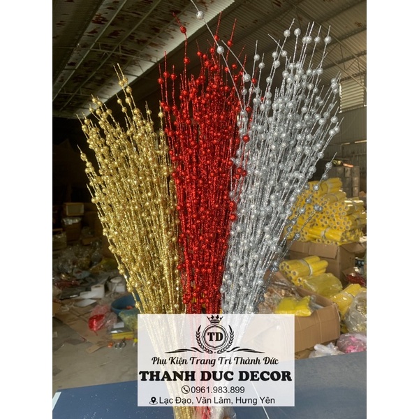 Sỉ cành châu xoè to bé