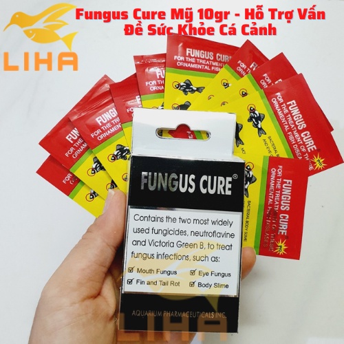 Fungus Cure Mỹ 10gr - Hỗ Trợ Vấn Đề Sức Khỏe Cá Cảnh