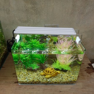 Bể cá mini 30 cm và 7 món (bể, 2kg sỏi nền, máy lọc, cây nhựa (đế giả gỗ, 3 nhánh), pk sứ nhỏ)