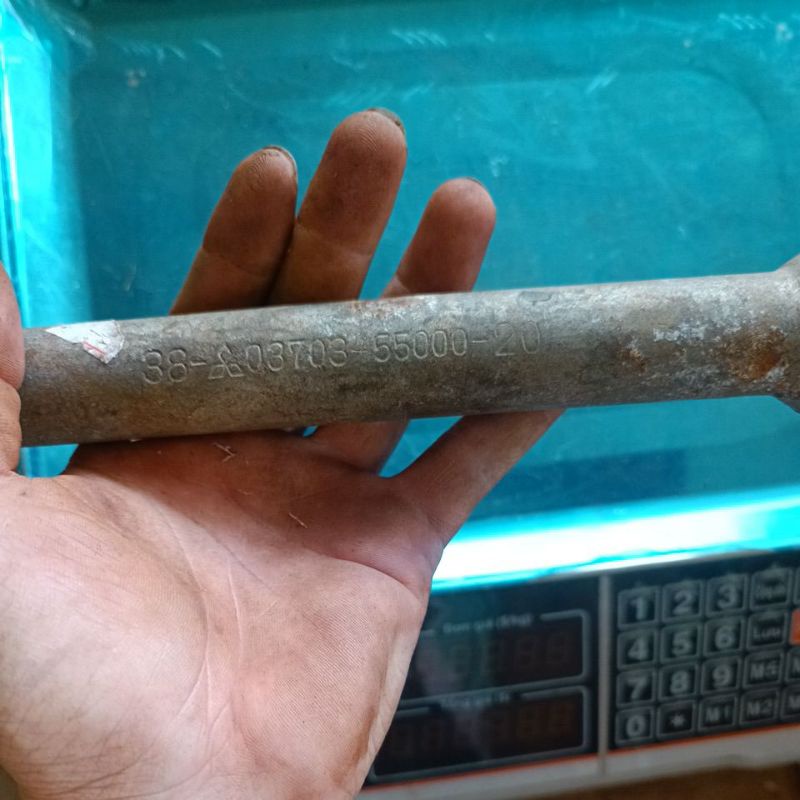 Đầu tắc kê 38 đuôi 3/4 nhật bãi