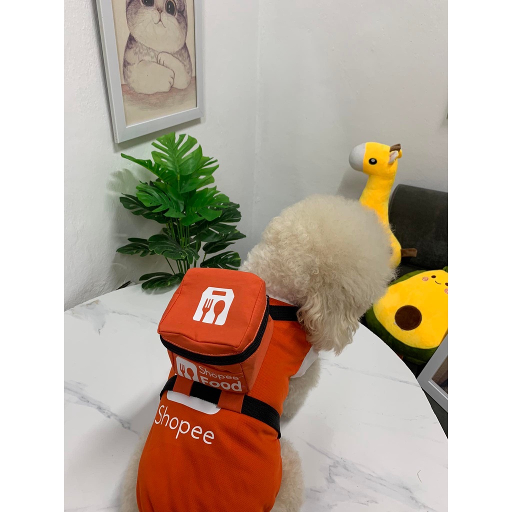 Áo giao hàng cho thú cưng chó mèo ngộ nghĩnh kèm balo