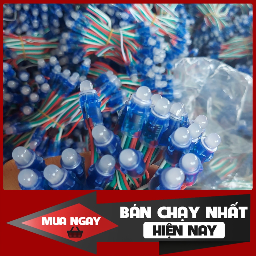 Led Đúc 1930, 2811 full màu chống nước, dây 50 bóng