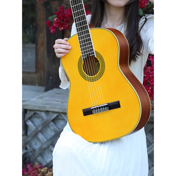 GUITAR GIÁ RẺ - Đàn Guitar Classic Suzuki / Maxine / HT Music dây nilong cho người mới tập chơi.