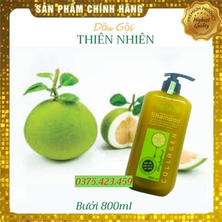 [ Hàng Chính Hãng ] Combo Dầu gội bưởi HACHI - 800ml kích thích mọc tóc và ngăn ngừa gãy rụng (1 xã + 1 gội )