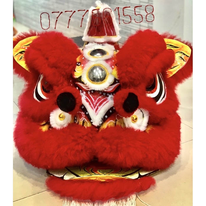 🦁LÂN SƯ RỒNG VẼ HOẠ TIẾT LÔNG CỪU THẬT( 7 đến 13 tuổi)