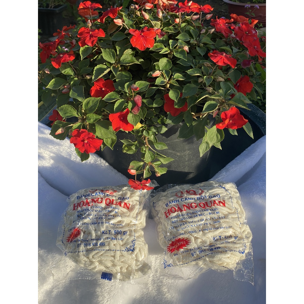 Bánh Canh Bột Gạo Lọc Sa đéc Hoàng Quân