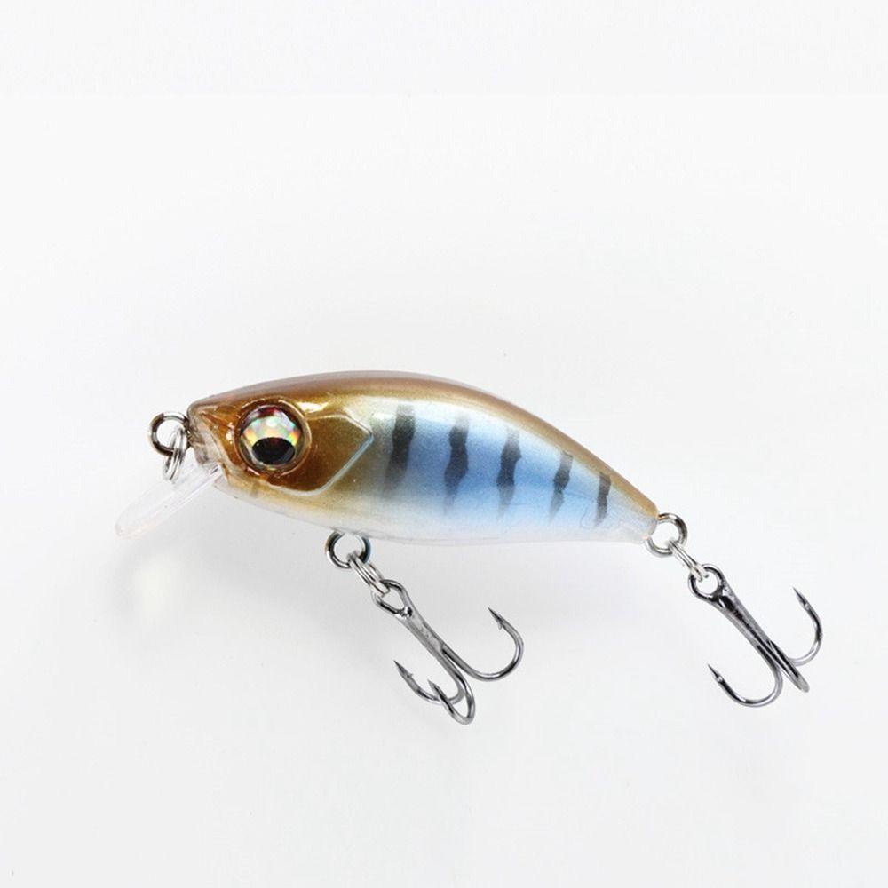 MAYSHOW 2 cái chìm :innow : aits 4,9g / 50mm :rankbaits :ackle :innow :ures