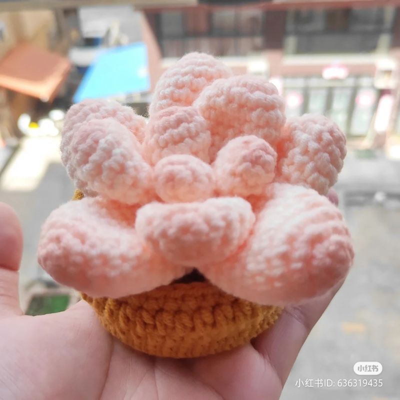 Chậu sen đá bằng len