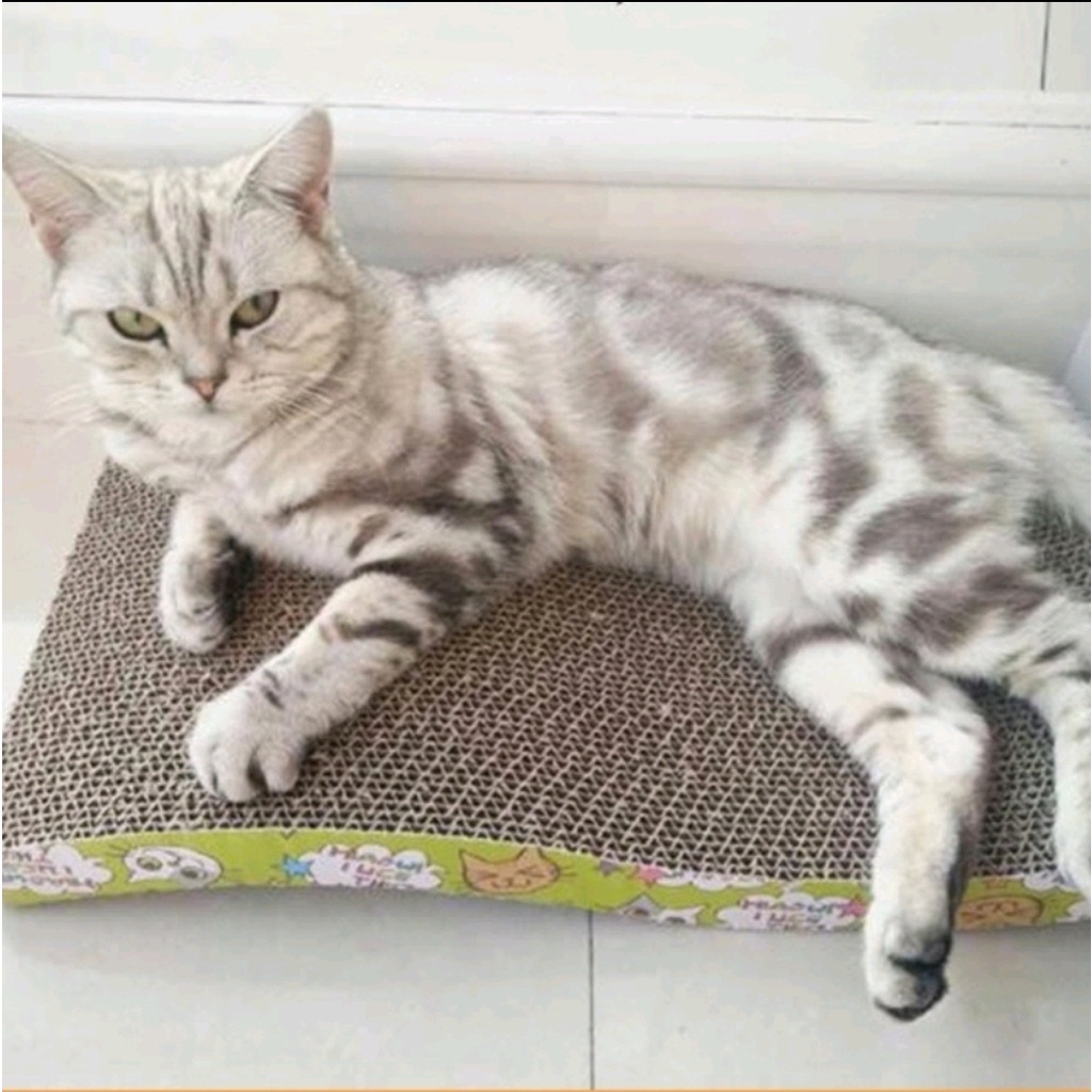 Đồ Chơi Bàn Cào Móng Carton Dạng Gợn Sóng Cho Mèo