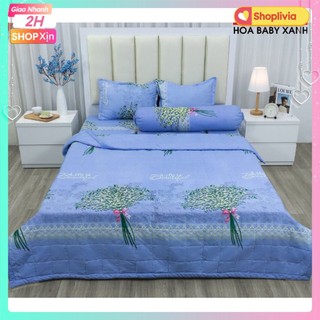 Ga giường,ga bọc đệm cotton poly kích thước 2mx2m2 drap chun bọc đệm không vỏ gối