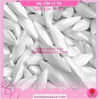 Nụ xốp hoa ly. nụ hoa lily