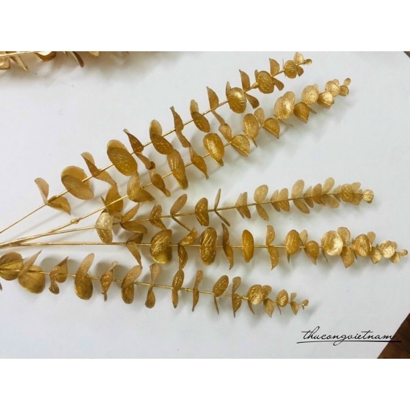 Cành Lá Tim  vàng kim trang trí, chưng tết …