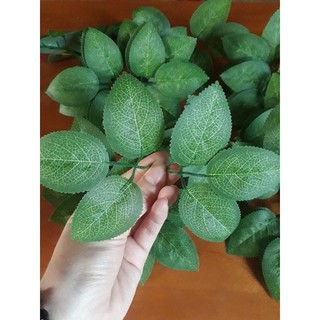 lá Hồng túi 20 lá