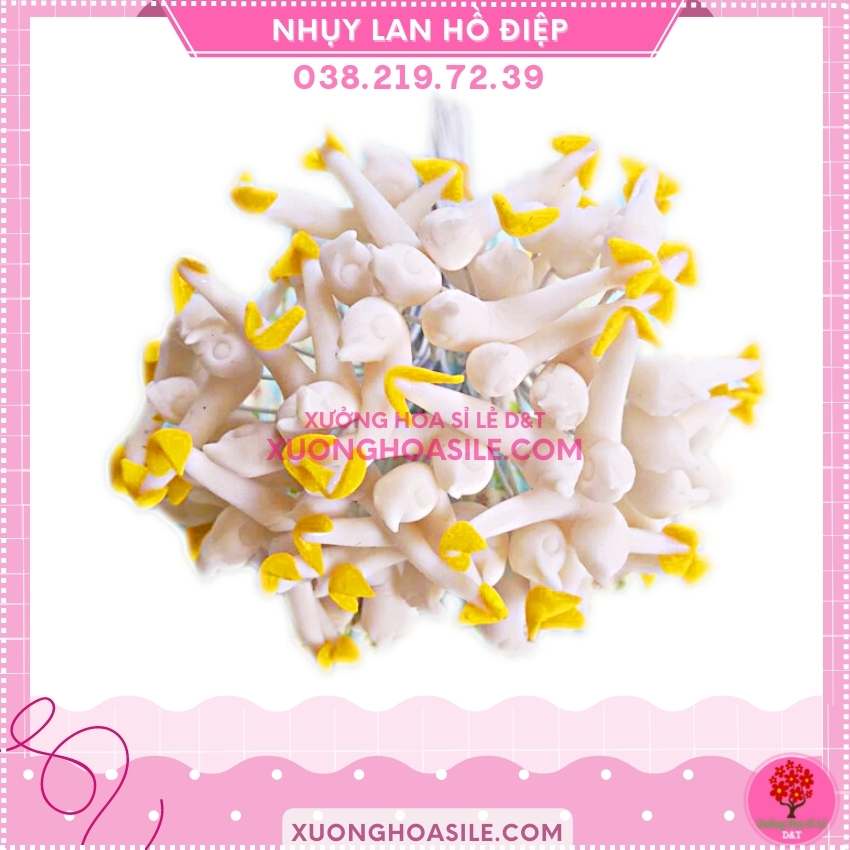 NHỤY LAN HỒ ĐIỆP