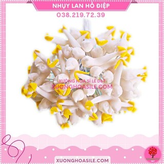 NHỤY LAN HỒ ĐIỆP